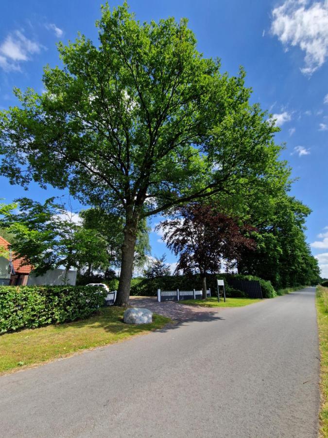 Friesenparadies Fri-Suedliches Friesland 보크호른 외부 사진