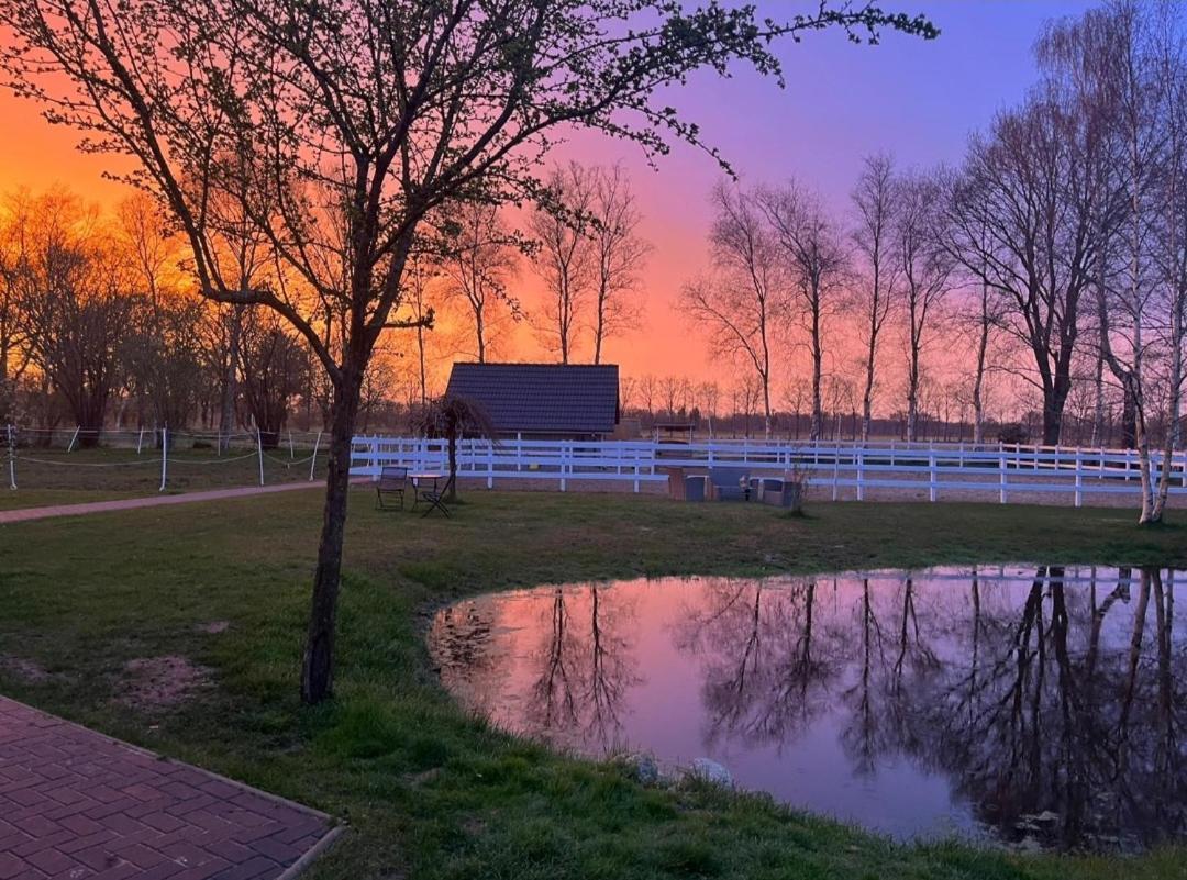 Friesenparadies Fri-Suedliches Friesland 보크호른 외부 사진
